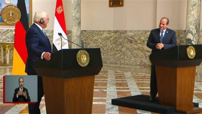 السيسي: اتفقت والرئيس الألماني على أهمية وقف إطلاق النار في قطاع غزة