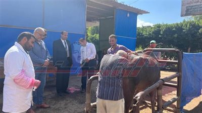 قافلة بيطرية مجانية ضمن المبادرة الرئاسية 