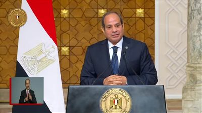    الرئيس السيسي يؤكد ضرورة الوقف الفوري للحرب الدامية في غزة