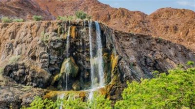 جمال الطبيعة الشفائي في ينابيع ماعين الحارة بالأردن 