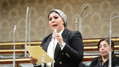 برلمانية: زيارة الرئيس الألماني للقاهرة تؤكد دور مصر المحوري في المنطقة 