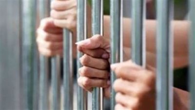 المشدد 5 سنوات لعاطلين أحدثا عاهة لشقيق زوجة أحدهما بطوخ