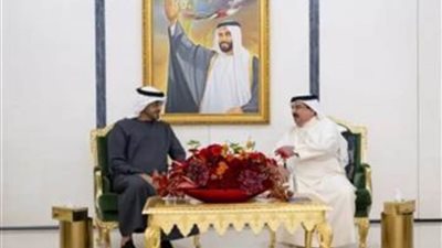 الرئيس الإماراتي وعاهل البحرين يبحثان سبل تعزيز التعاون الثنائي
