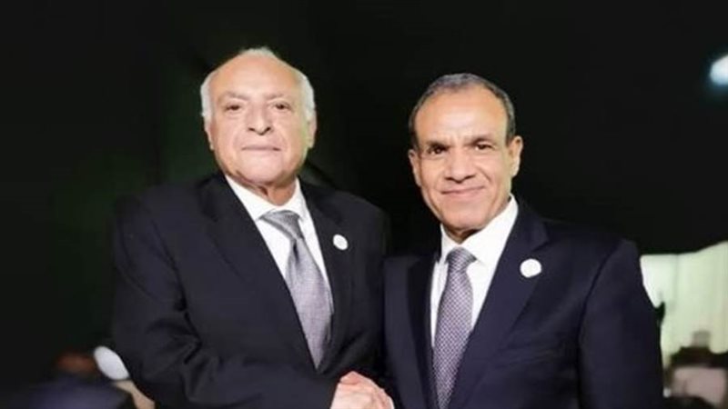 وزير الخارجية يلتقي