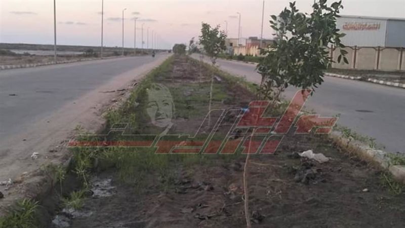 أعمال التشجير