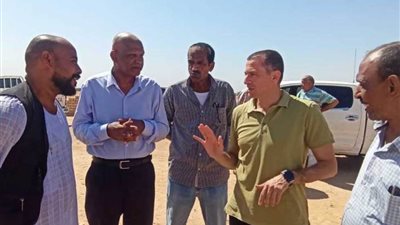نائب محافظ أسوان التنسيق لتطوير مقترح إنشاء المركز لتصنيع التمور بقرية فارس