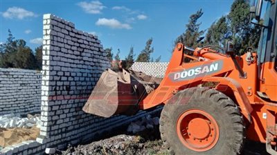 إزالة حالات التعدي على الأرض الزراعية بكفر الشيخ 