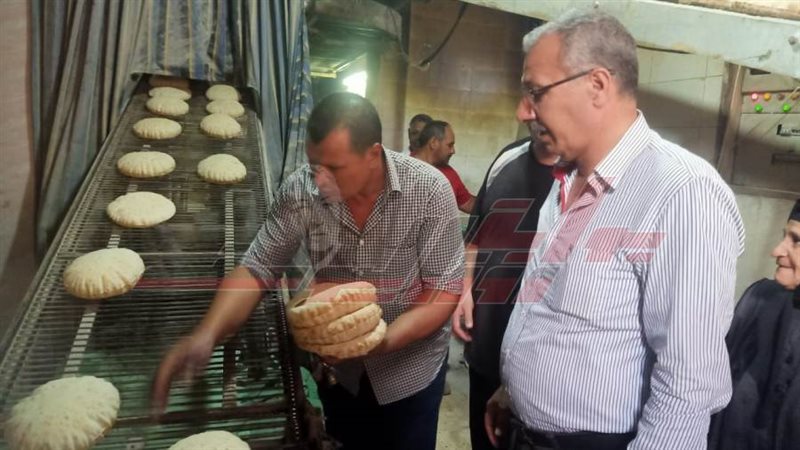 الحملات الرقابية