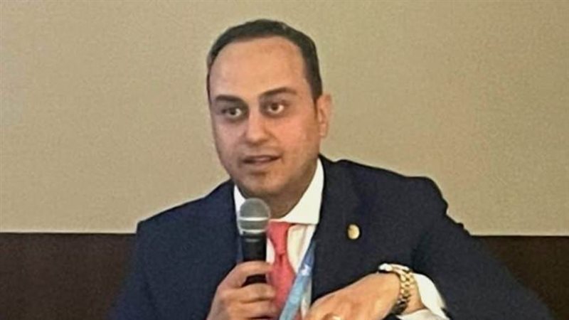 السبكي خلال المؤتمر