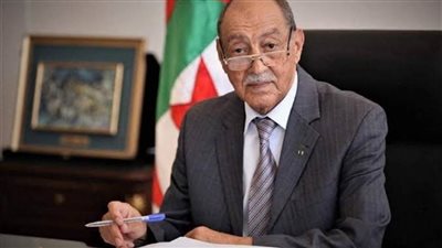 المحكمة الدستورية بالجزائر: حرصنا كل الحرص على ضمان احترام حقوق المترشحين والناخبين