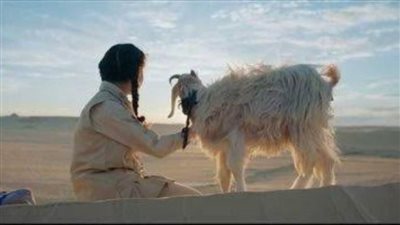 مصري إيطالي حصد أكثر من 10 جوائز دولية.. 