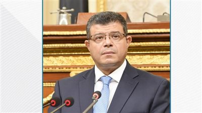 محمد سليمان رئيس اقتصادية النواب أمينًا لمستقبل وطن بالقاهرة