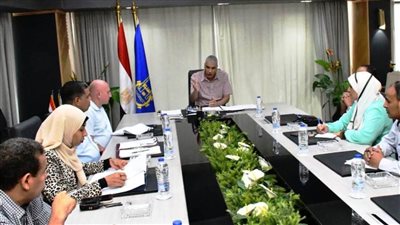 محافظ أسوان: غدًا فتح باب الترخيص لمركبات التوك توك غير المرخصة 