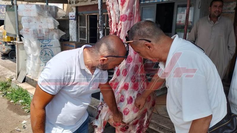 الحملات الرقابية