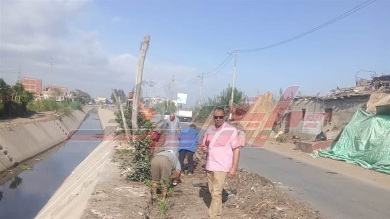 أعمال التشجير