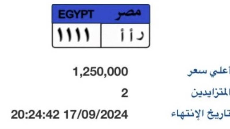 أعلى اللوحات في المزاد