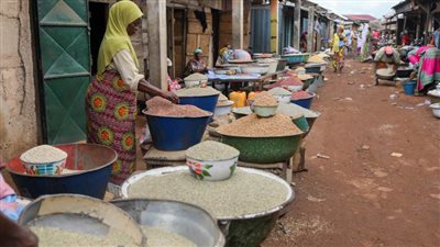 غانا توقف صادراتها من الحبوب مؤقتًا بسبب موسم الأمطار المحدود