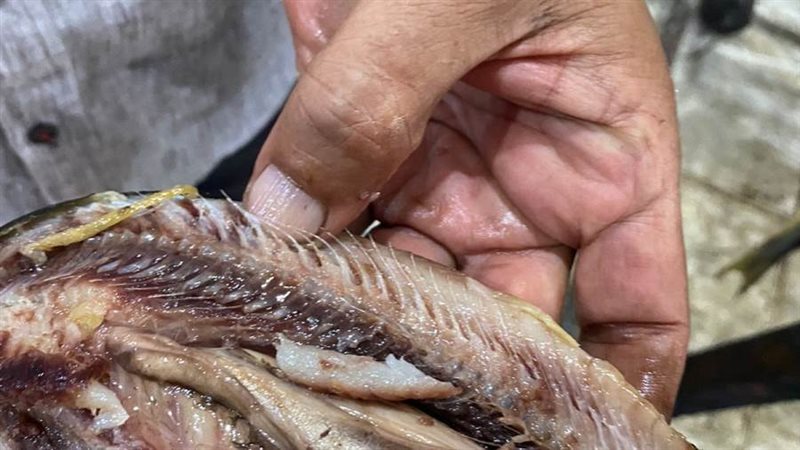 جانب من المضبوطات