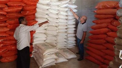 وكيل وزارة الزراعة بقنا: وصول 37 ألفا و615 طنا من الأسمدة الزراعية