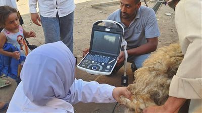  بالصور.. علاج 1586 طائرا ورأس ماشية في قرية 