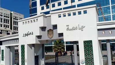 جامعة دمنهور تشارك في أول ورشة عمل عبر الإنترنت في 