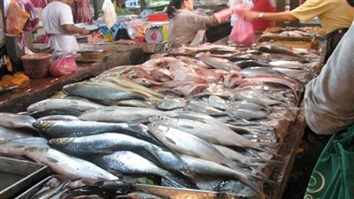 عاجل| تحرك جديد.. أسعار الأسماك اليوم بسوق العبور