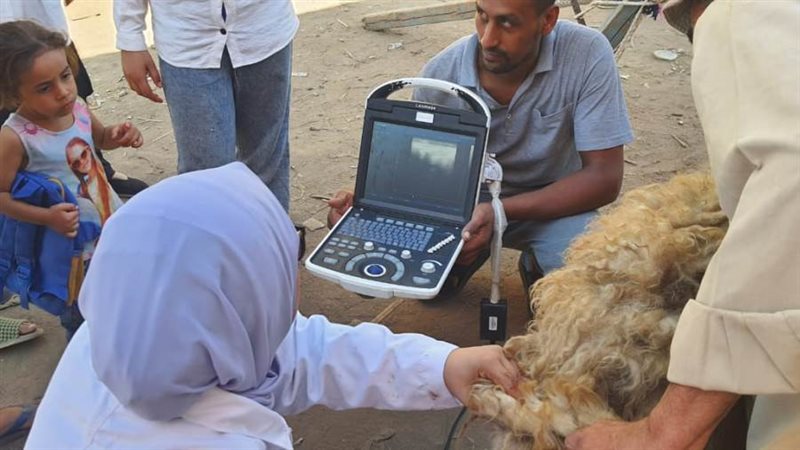 جانب من فعاليات القافلة