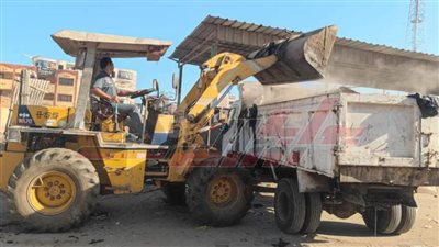 رفع 120 طن مخلفات قمامة بدسوق 