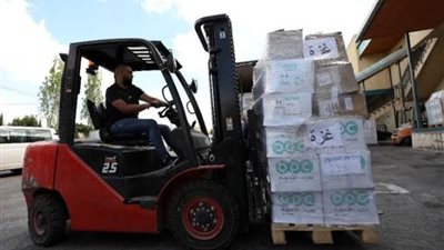 الصحة الفلسطينية: وصول قافلة شاحنات أدوية ومستهلكات طبية إلى قطاع غزة