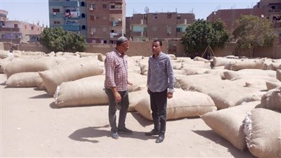 وكيل وزارة الزراعة بأسيوط يتفقد أعمال تسليم محصول القطن لمراكز التجميع