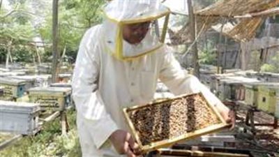 السيطرة على حريق شب بمنحل للعسل بإحدى قرى مطاي شمال المنيا 