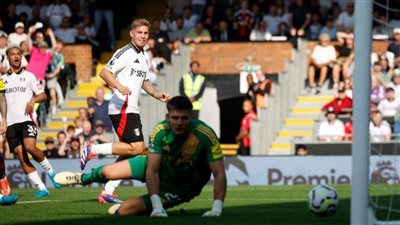 توتنهام يفوز على برينتفورد.. ونيوكاسل ينزف نقاطًا جديدة أمام فولهام