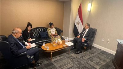 عاجل..وزير الخارجية يؤكد رفض مصر التام للنقل الجبري والتهجير القسري لسكان غزة