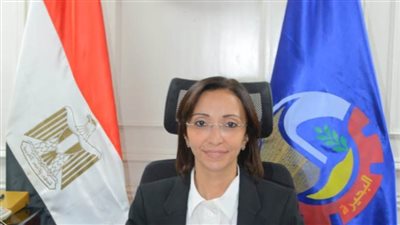 محافظ البحيرة تقيل مدير مشروع الرصف الإنتاجي وتحيل ملفه للنيابة العامة 