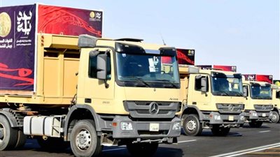  9.3 مليون خدمة قدمتها المبادرة الرئاسية 