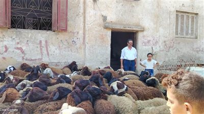 بالصور.. علاج 3218 طائرًا وماشية خلال قافلة بيطرية في الغربية