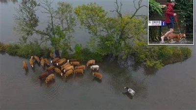 عاجل| برق ورعد.. وسقوط أمطار تعادل شهرا كاملا على بريطانيا