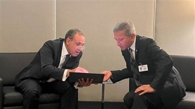 وزير الخارجية لنظيره السنغافوري: نرفض تصفية القضية الفلسطينية وتهجير الشعب الفلسطيني