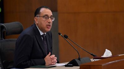 رئيس الوزراء: الدولة تعطى الأولوية القصوى لقطاع الطاقة الجديدة والمتجددة