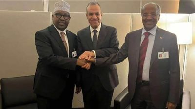 وزير الخارجية يلتقي نظيريه الصومالي والإريتري في اجتماع ثلاثي مشترك