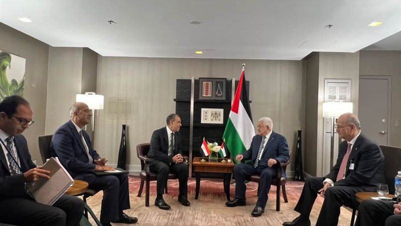 وزير الخارجية يلتقي