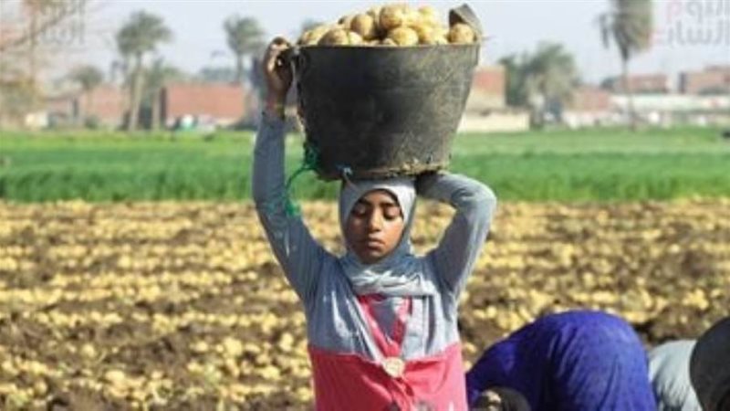 حملات على ثلاجات