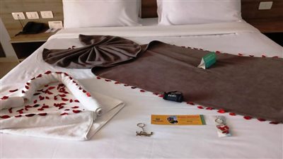 محافظ أسوان: هدايا تذكارية لنزلاء المراكب السياحية