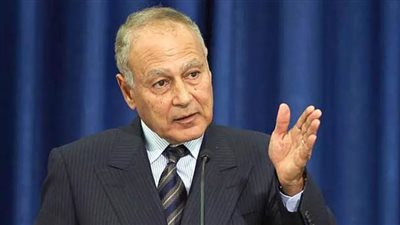 أبو الغيط يطالب وزيرة خارجية الأرجنتين بإعادة النظر في مواقف بلادها من القضية الفلسطينية