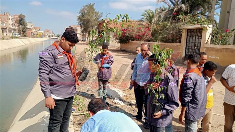 زراعة الأشجار