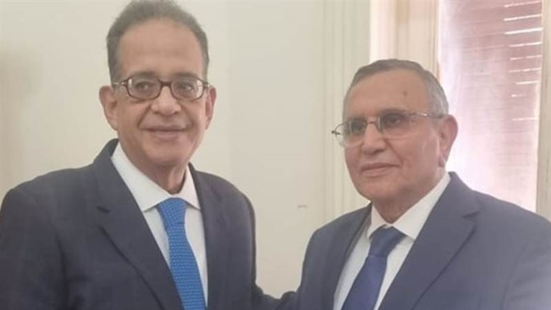 الاستاذ الدكتور عبدالسند