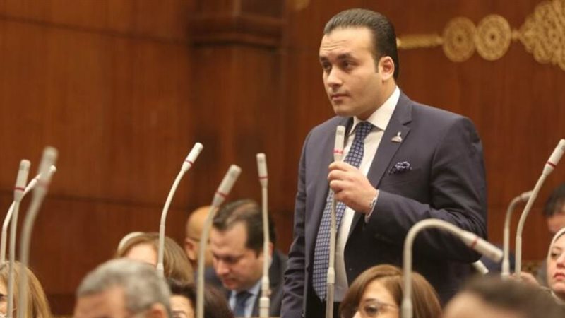 النائب عمرو فهمي