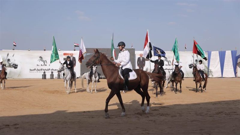 مهرجان الخيول بالشرقية