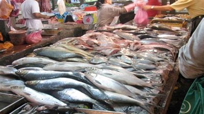 عاجل| ارتفاع البلطي.. أسعار الأسماك اليوم بسوق العبور