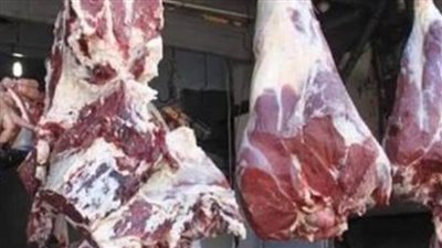 عاجل| تعرف على أسعار اللحوم اليوم 